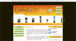 Desktop Screenshot of exideuilsurvienne.com